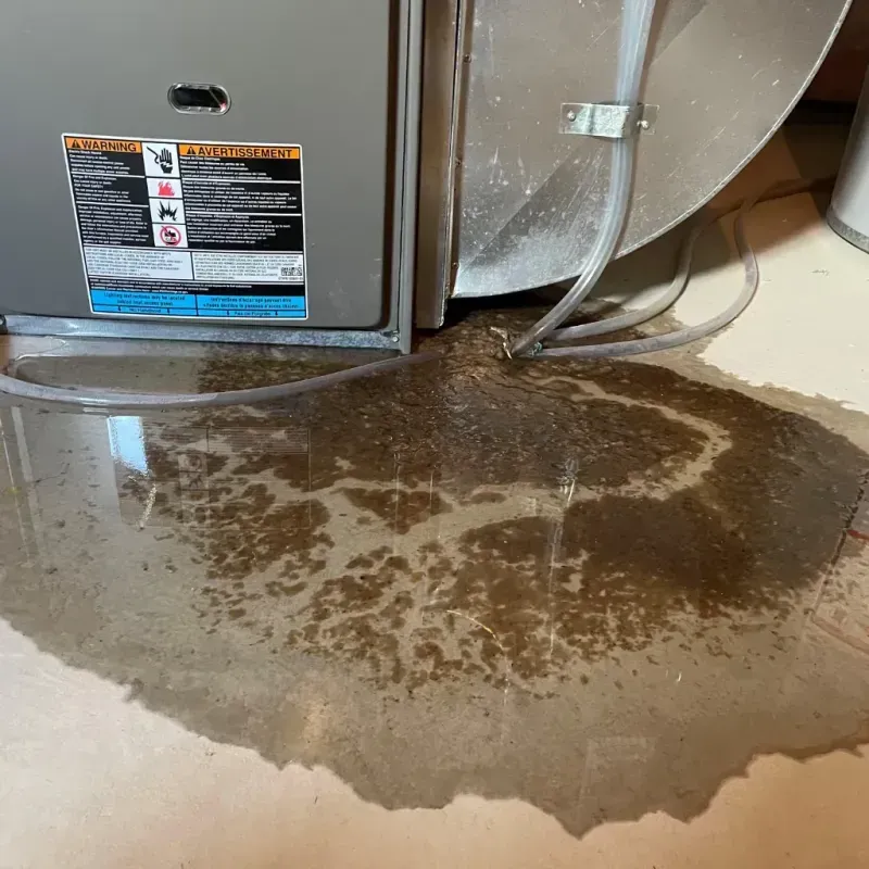 Appliance Leak Cleanup in Franklin County, KY